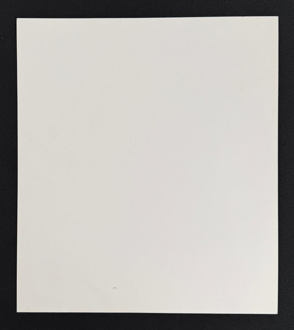 Frank Stella Expression Print - 5