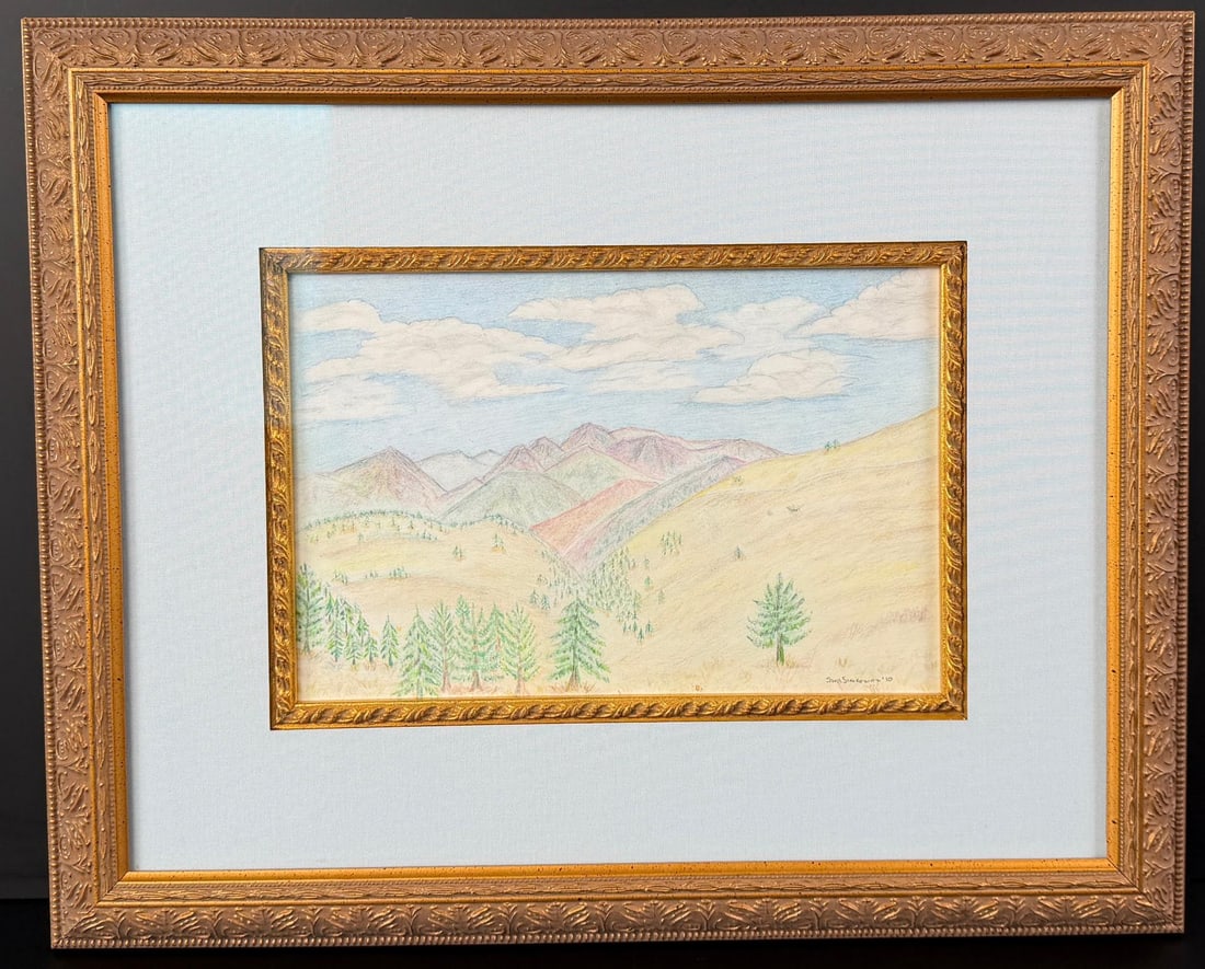 Missoula Montana Drawing: By Sara Simowitz. 14 1/2" by 18" framed.