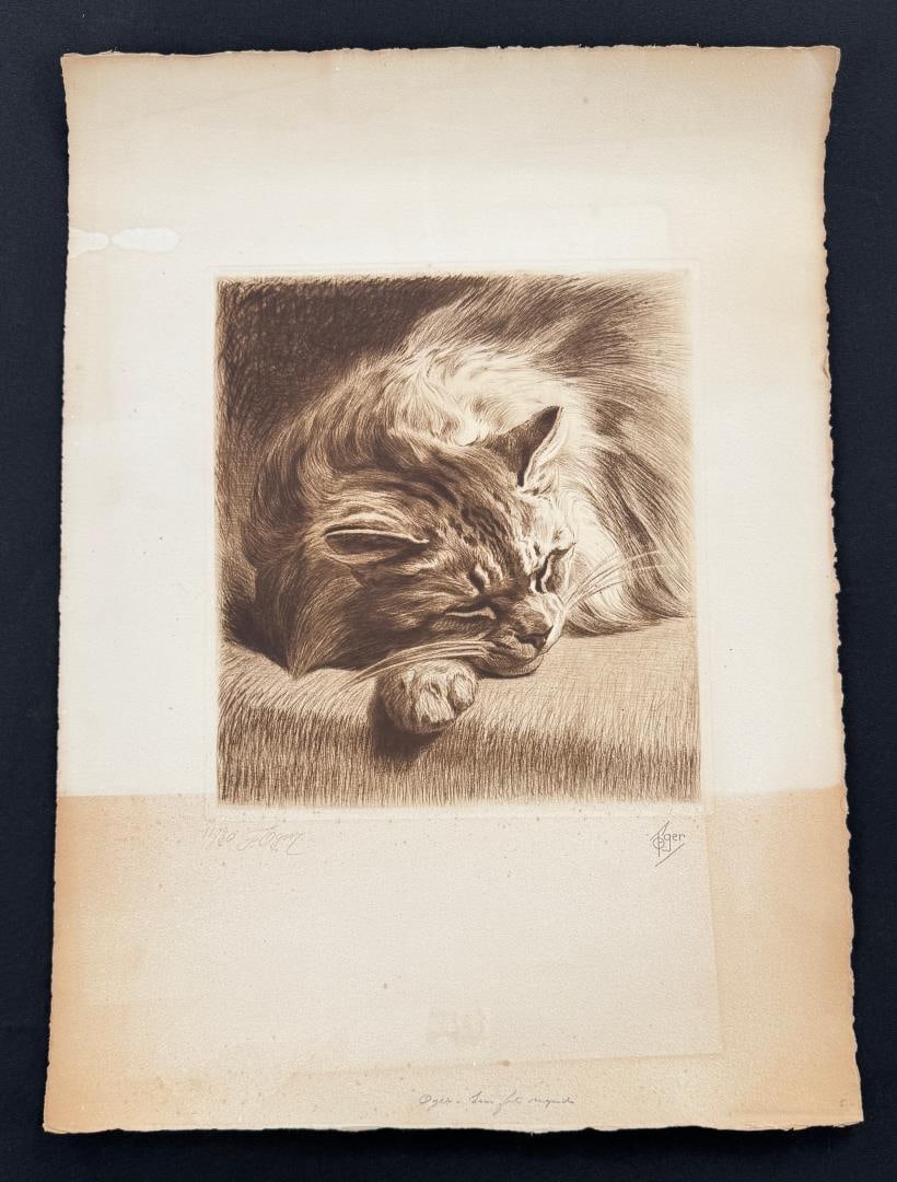 Ferdinand Oger Sleeping Cat Drypoint Etching: 16 1/4" by 22 1/4"