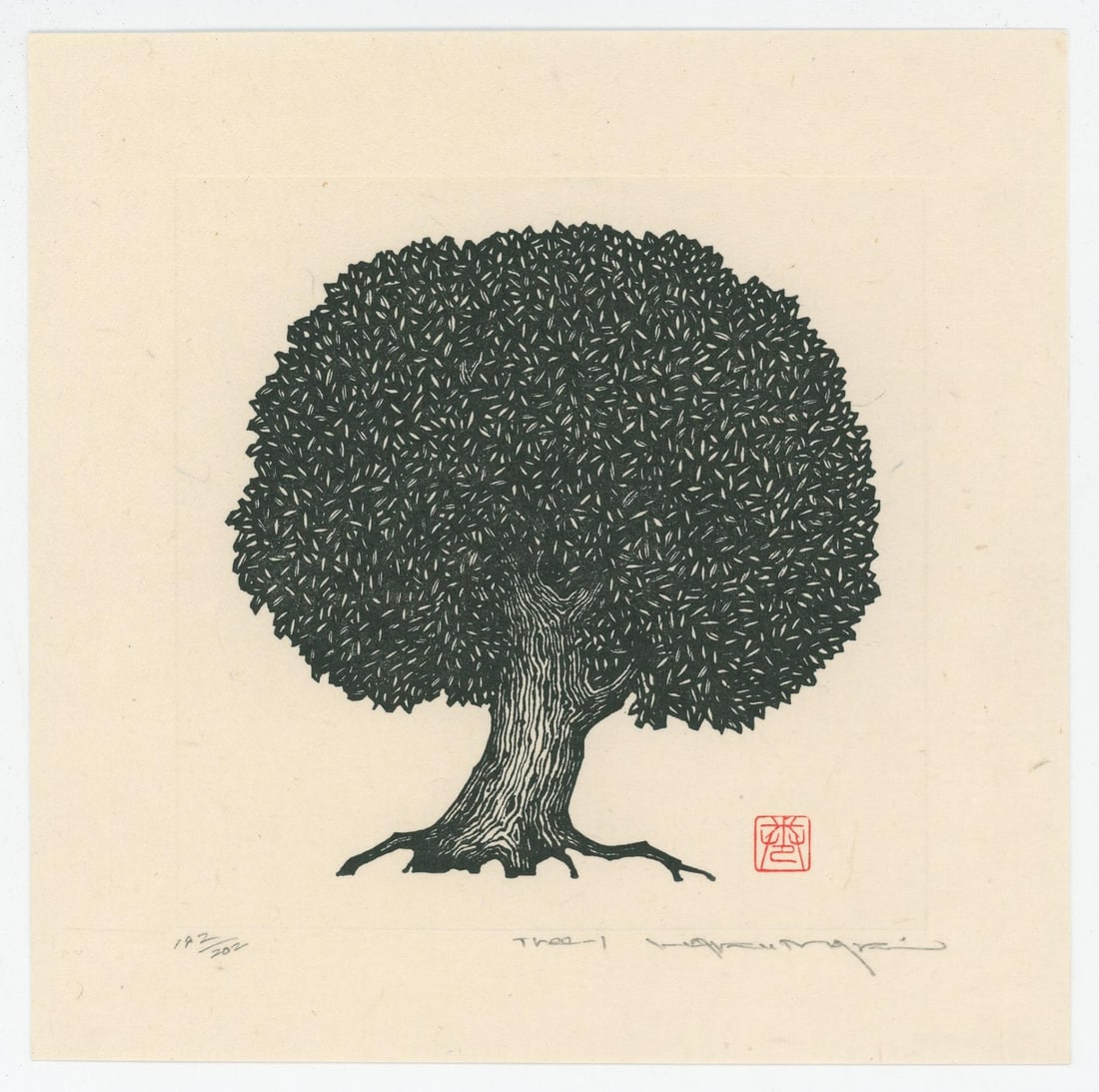 Haku Maki Tree-1 Woodblock Print: 6 1/2" by 6 12"