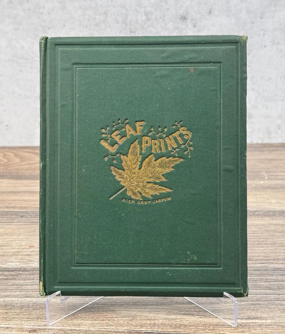 Leaf Prints Or Glimpses At Photography: Charles F. Himes, 1868