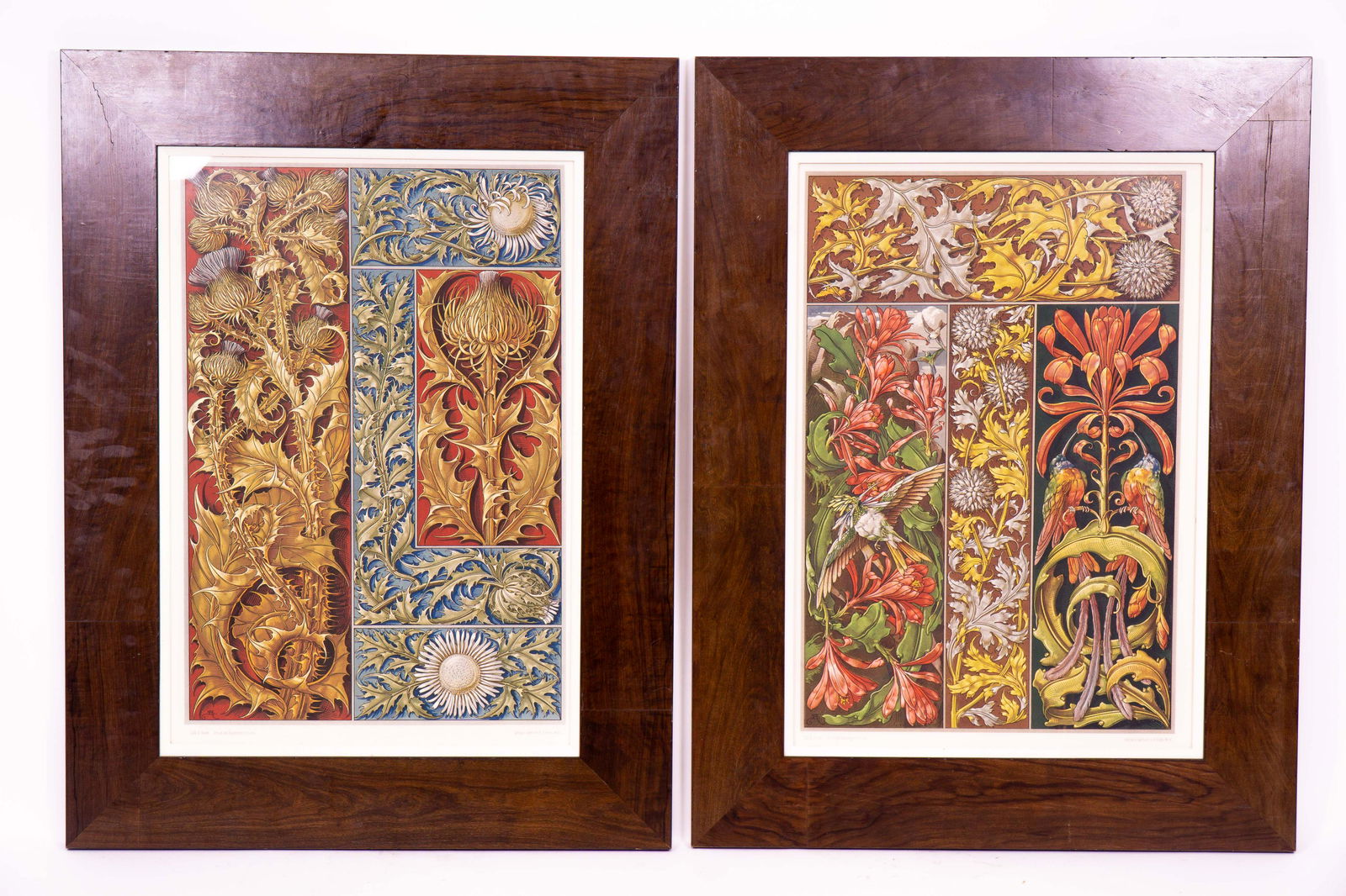 Pair of Botanical Prints (1 of 8)