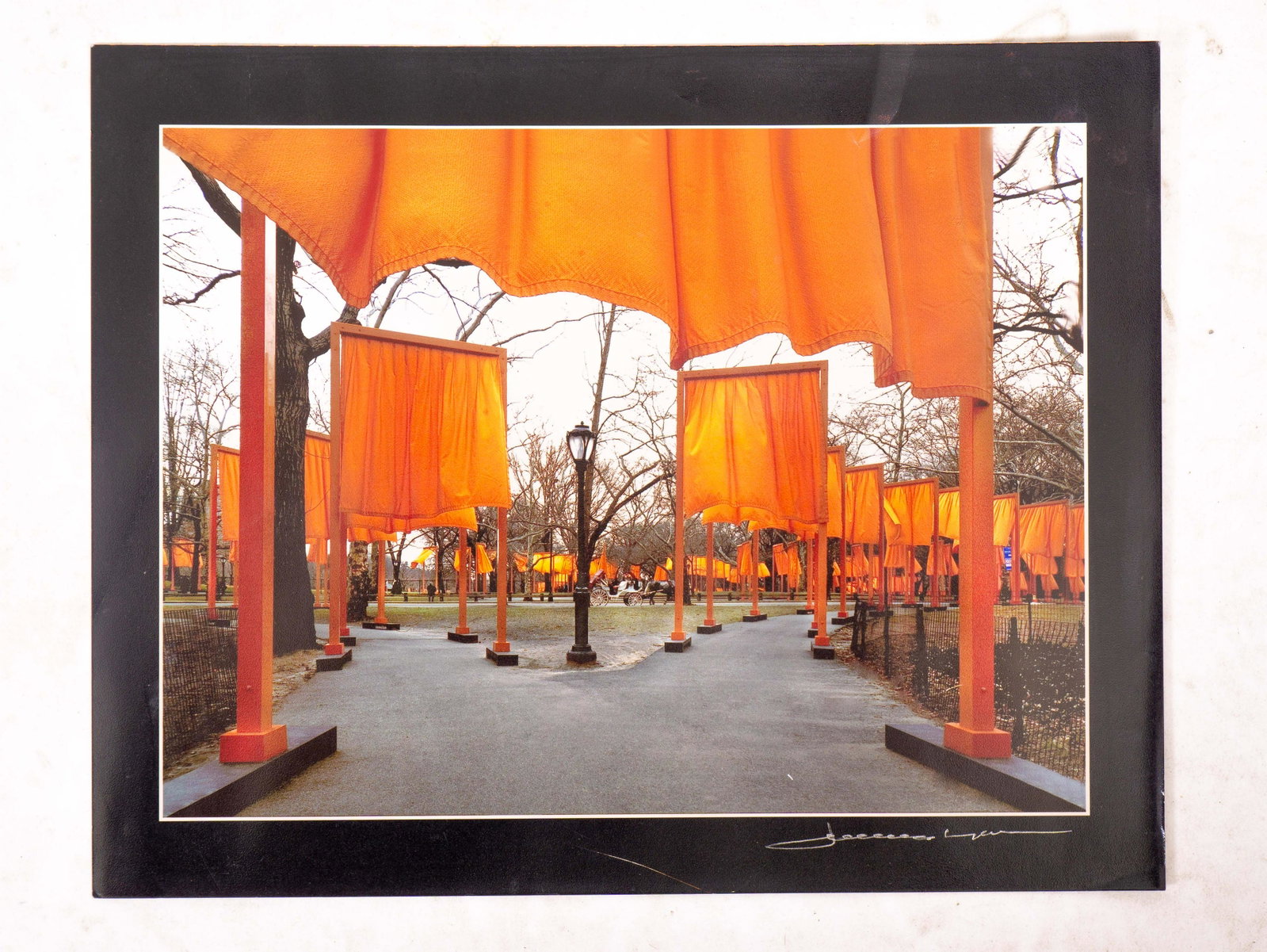 Signed Color Photograph of Central Park Featuring 'The: Color photograph of Central Park, with 'The Gates' installation by Bulgarian and French artists Christo and Jeanne-Claude in 2005, signed somewhat illegiblly but appears to be Jeanne Claude in marker 