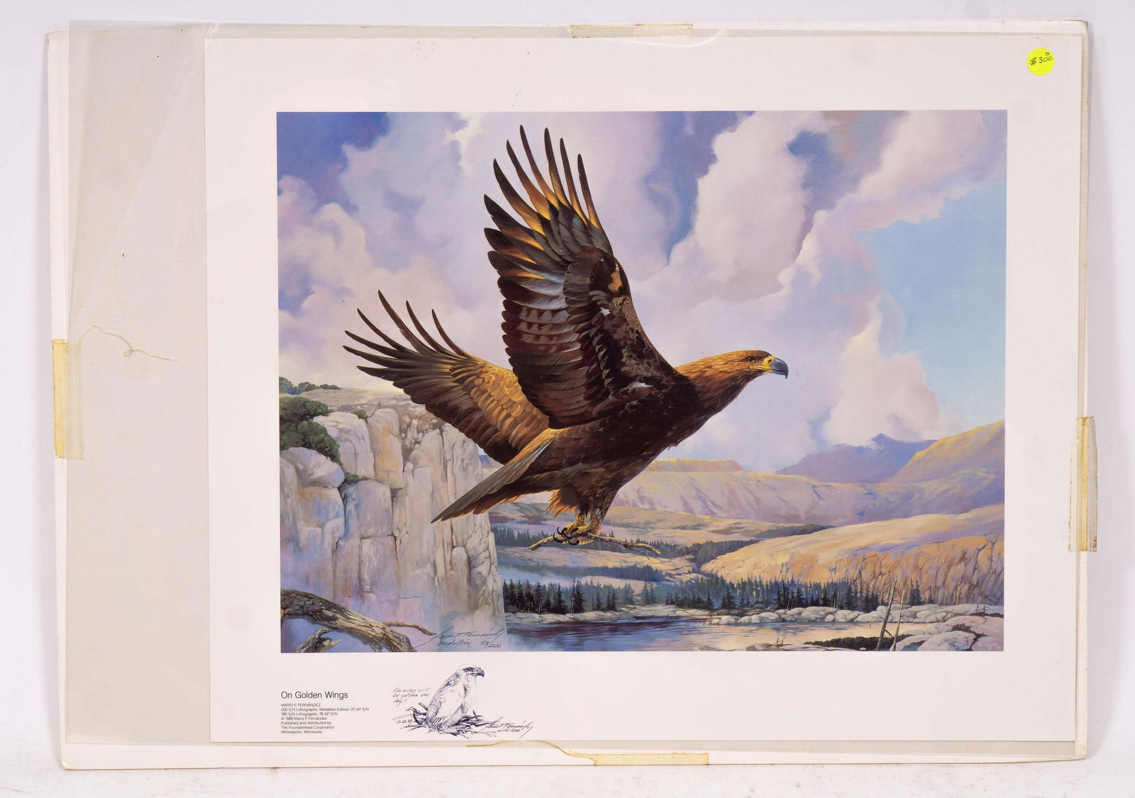 Signed, Dedicated with Custom Sketch, Limited Edition (1 of 3)