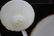 ROYAL WORCESTER "VIRGINIA" DINNER SET - 6