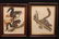 (TWO) AUDUBON LITHO PRINTS BY JT BOWEN