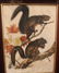 (TWO) AUDUBON LITHO PRINTS BY JT BOWEN - 3