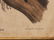 (TWO) AUDUBON LITHO PRINTS BY JT BOWEN - 5