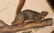 (TWO) AUDUBON LITHO PRINTS BY JT BOWEN - 9