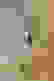 item-91652355=2
