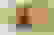 item-91652355=4