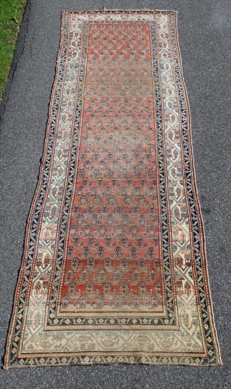 Hamadan Runner (1 of 8)