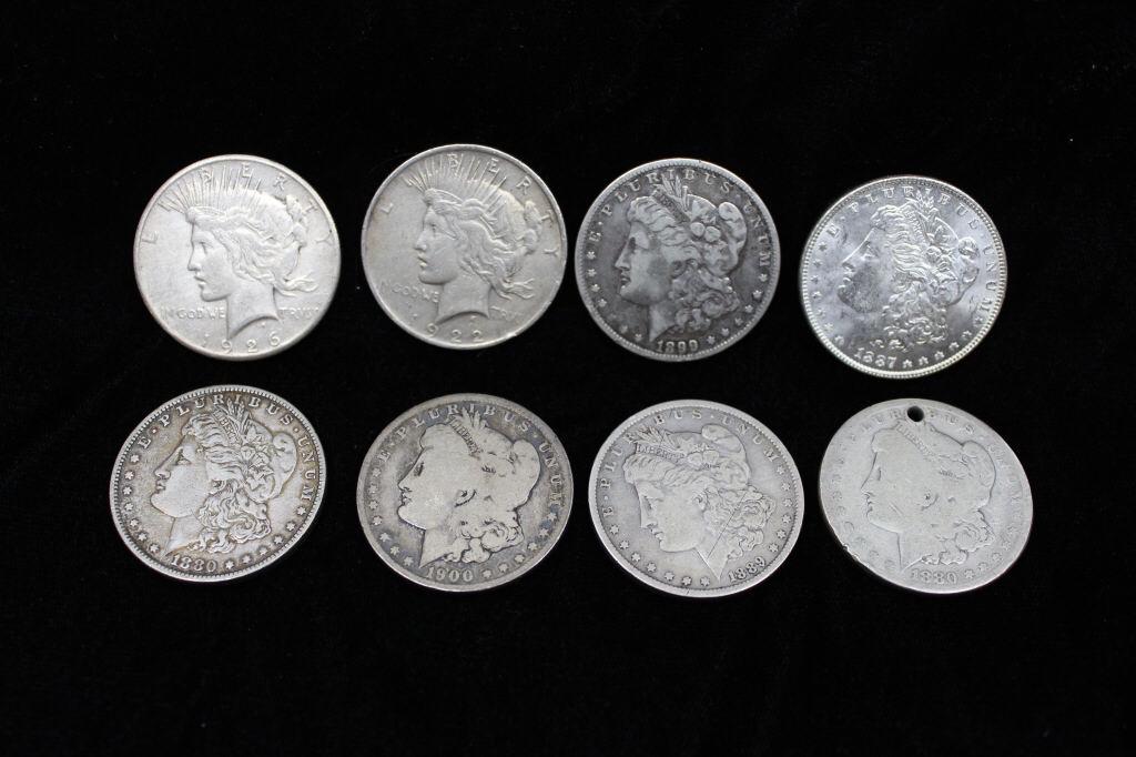 (6) Morgan Dollars & (2) Peace Dollars (1 of 11)