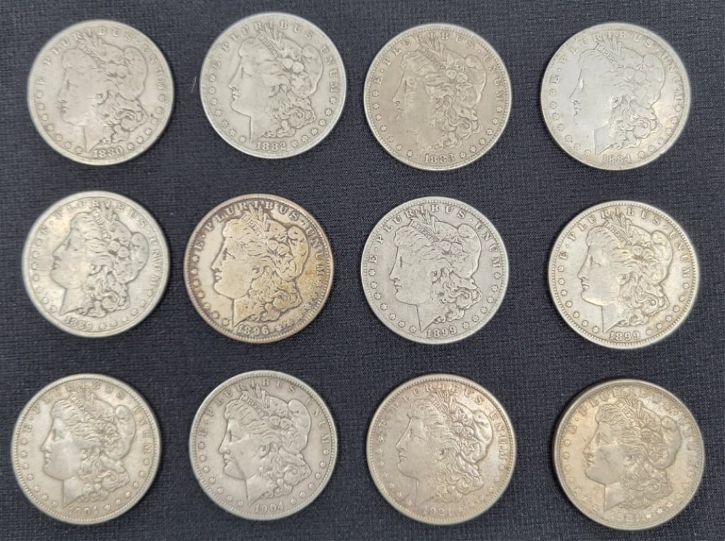 (12) Morgan Silver Dollars (1 of 2)