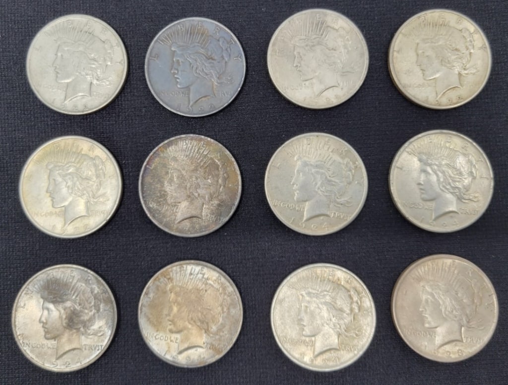 12 Silver Peace Dollars (1 of 2)