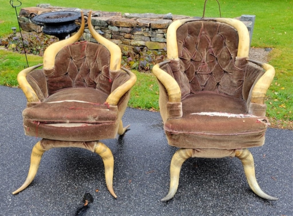 Victorian Longhorn Ladies & Gentleman's Chairs: Victorian Longhorn Ladies & Gentleman's Chairs the condition is structurally sound, however they do need to be upholstered.