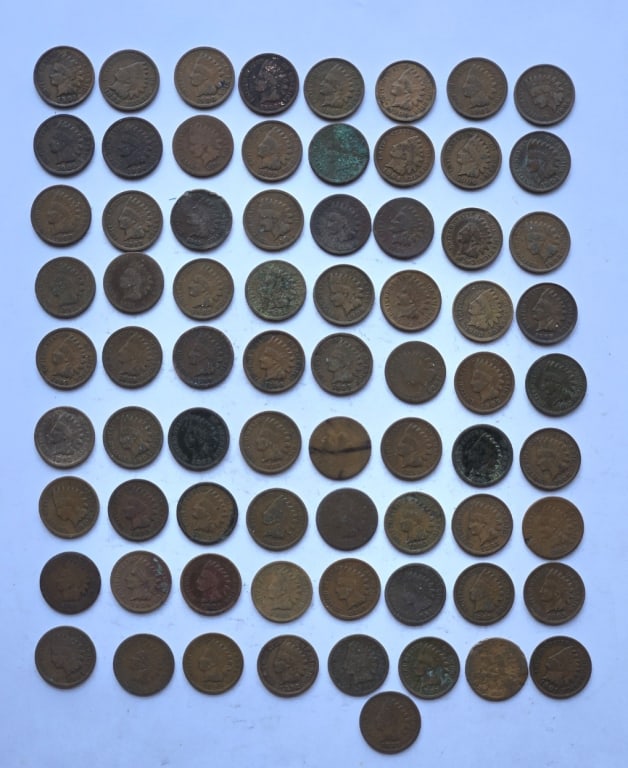 (73) Indian Head Pennies (1 of 1)