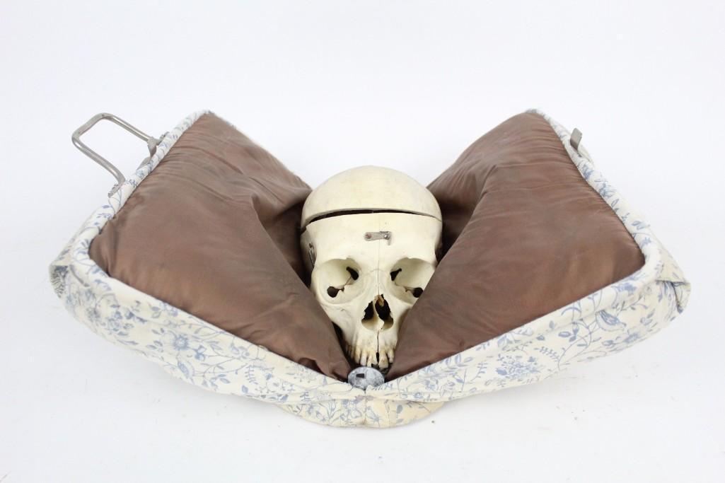 Antique 19thC. Medical Human Skull in Victorian Case (1 of 10)