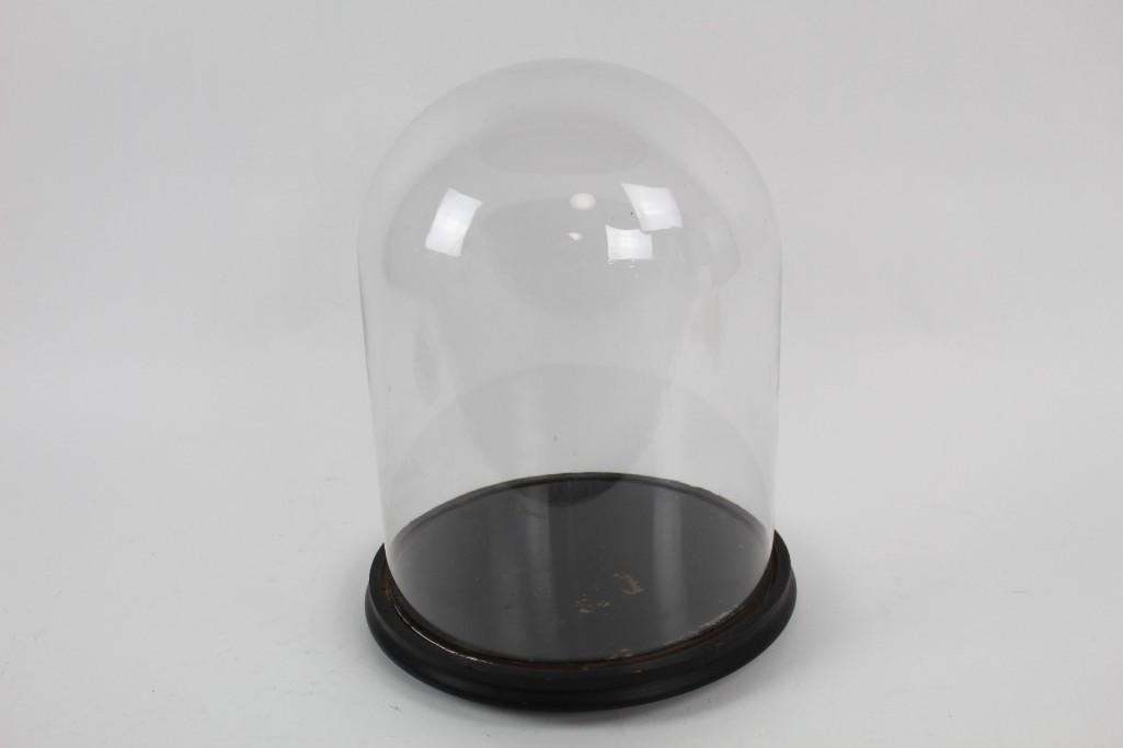 Beautiful Large Glass Bell Jar with Dark Wooden Base (1 of 6)