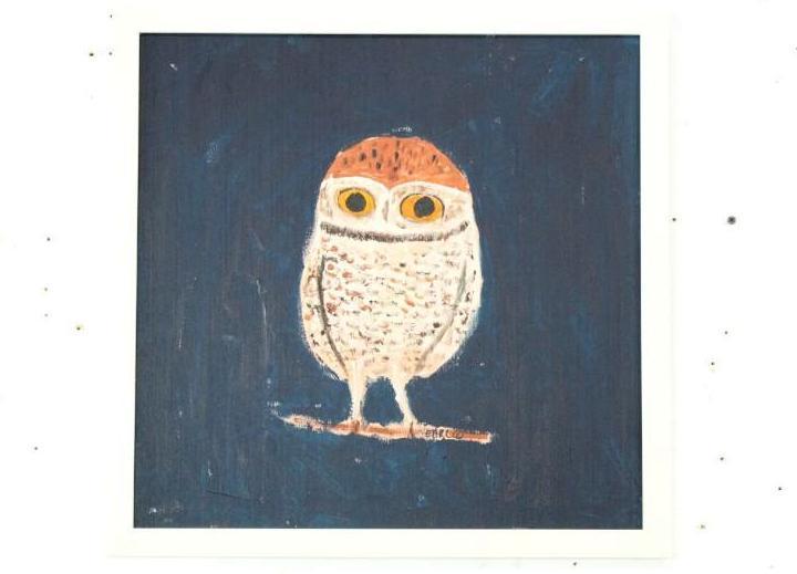 Framed Outsider Art Painting Brown Owl Earl Swanigan (1 of 6)
