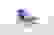 item-102506777=5