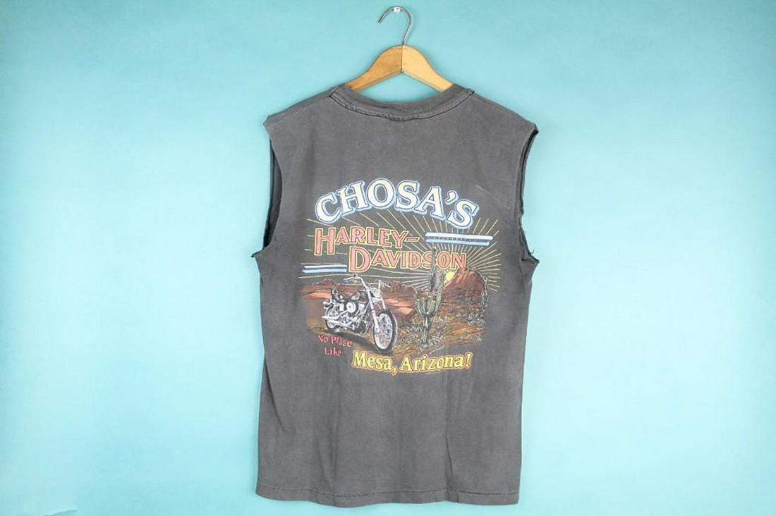 Gray S/M Harley Davidson Mesa AZ Vintage T-Shirt 1993: SHIPPING: We will ship this item in-house, for a $12 flat rate to the Continental US; $2 for each additional shirt. Please contact us for a shipping quote on larger quantities. Gray S/M Harley Davidso