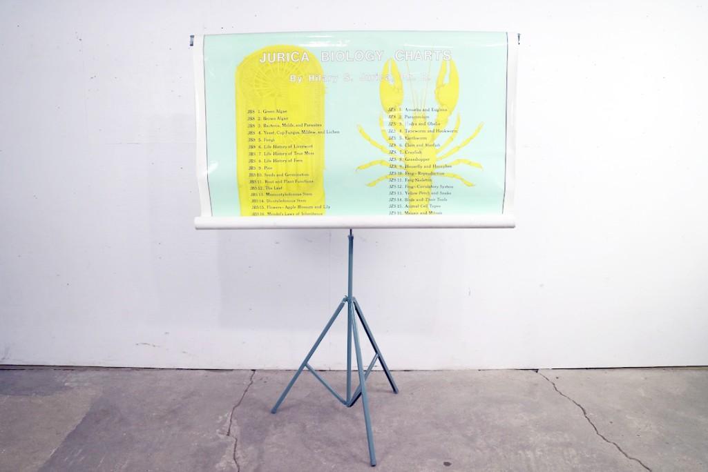 Jurica Biology Charts With Stand, Educational, Nature (1 of 5)