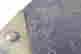 item-100361402=4