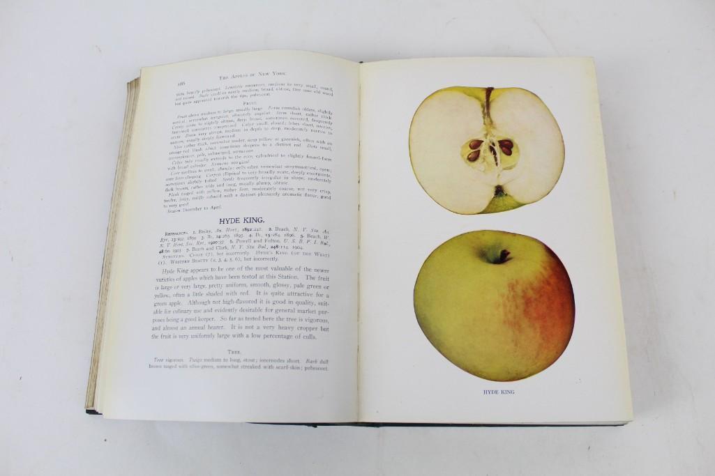 Apples of New York Illustrated Books Vol. 1 and 2, 1905 (1 of 9)