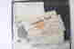 item-100361503=15