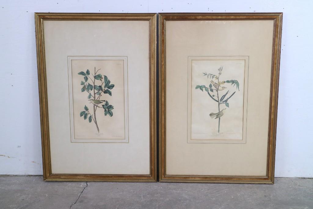 Pair of JJ Audubon/Havell Colored Aquatint Engravings (1 of 18)