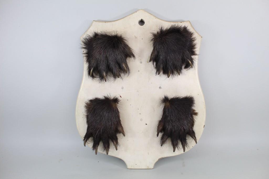 Taxidermy Trophy 4 Black Bear Paws Wood Mounted 1920 (1 of 7)