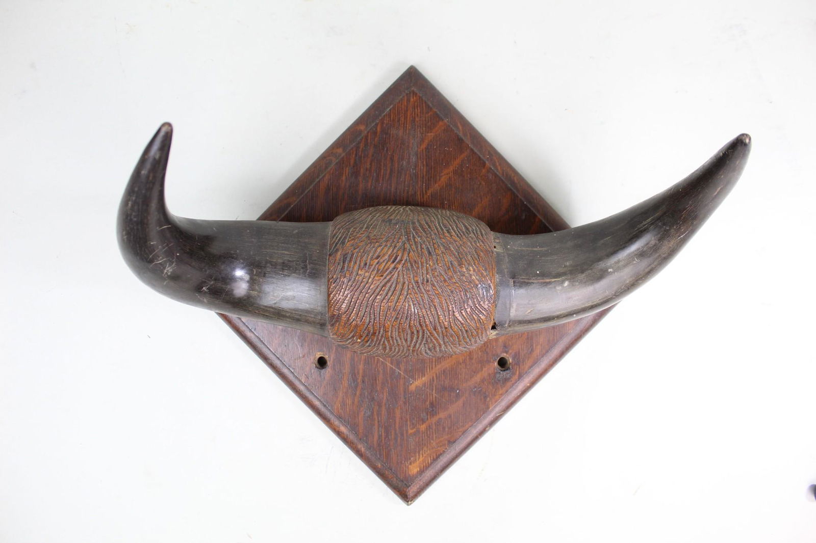 Western Black Steer Horns W Wooden Wall Mount (1 of 9)