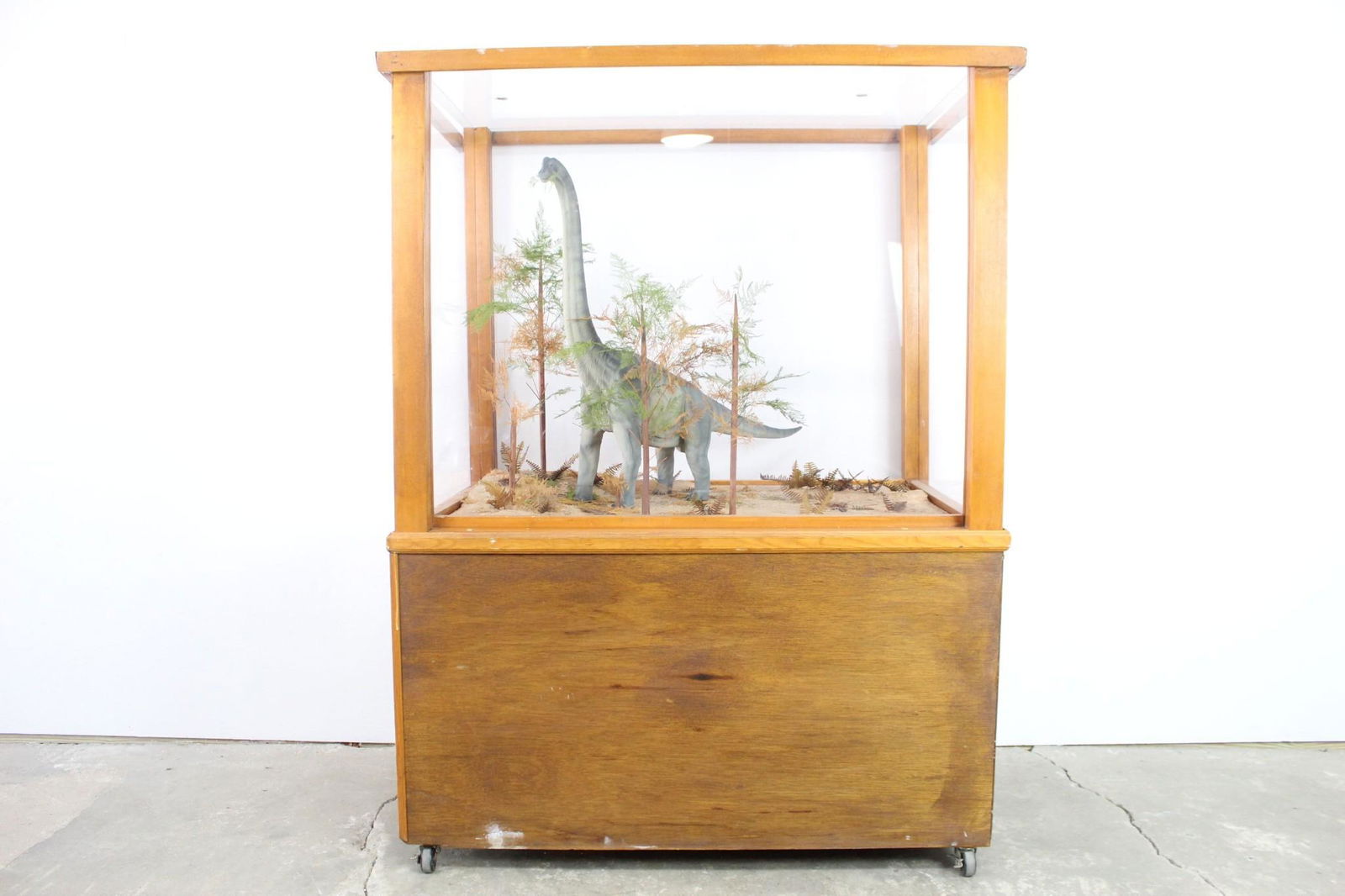 Handmade Museum Display Diorama Brontosaurus Dinosaur (1 of 10)