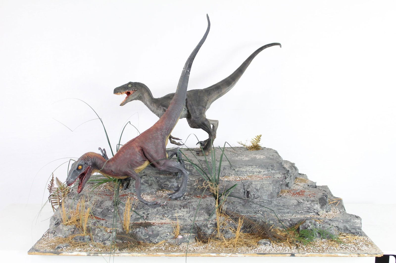 Diorama Display Dinosaur Velociraptor Children Museum (1 of 11)