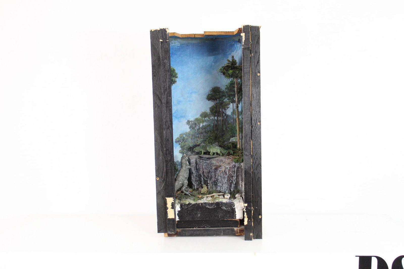 Small Diorama Museum Display Ceratosaurus & Stegosaurus (1 of 11)