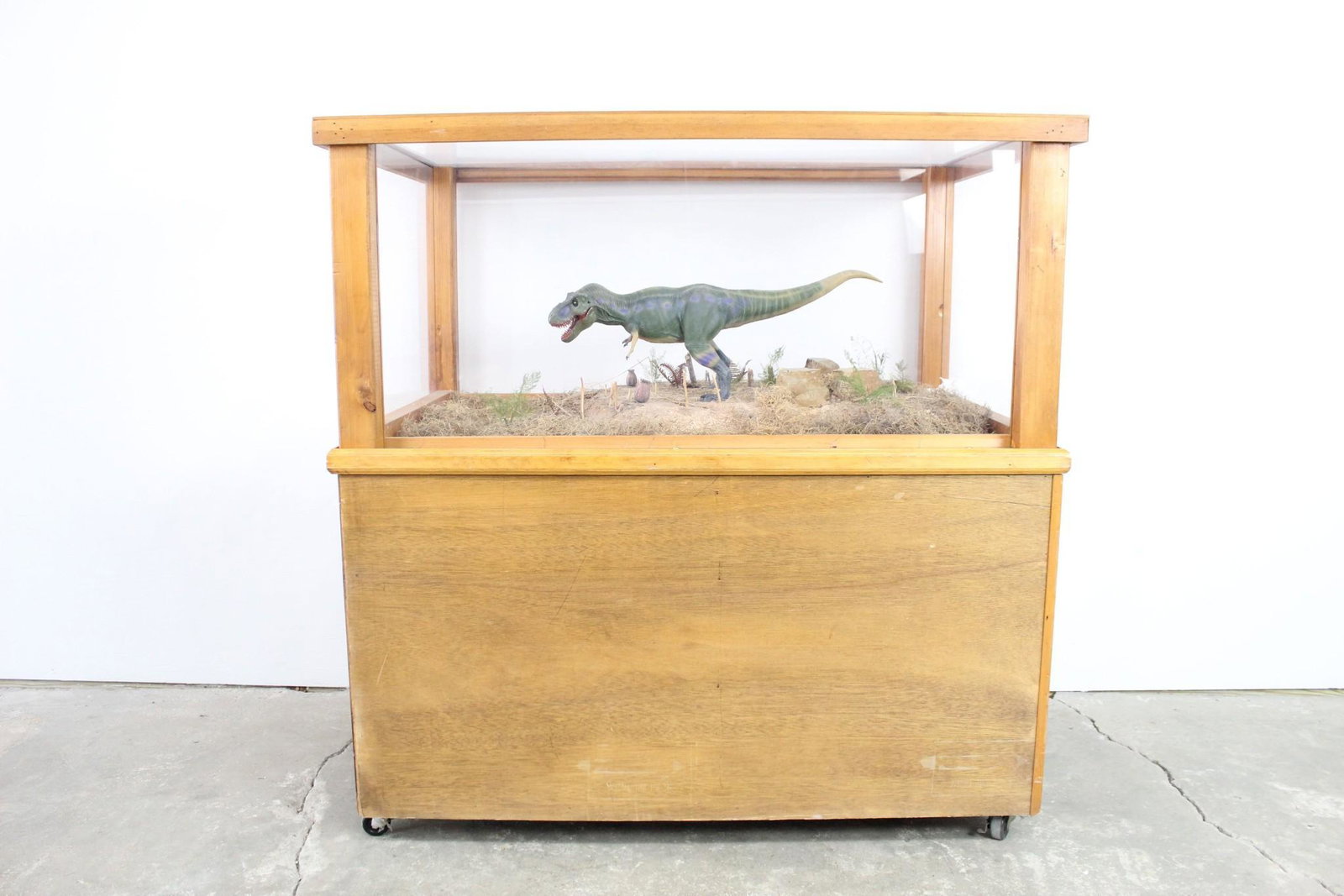 Children Museum Diorama Display Tyrannosaurus Dinosaur: Children Museum Diorama Display Tyrannosaurus Dinosaur. This is a great diorama of a tyrannosaurus roaming around a dry environment. T-rex is brightly colored and has bright red gums that brings the v