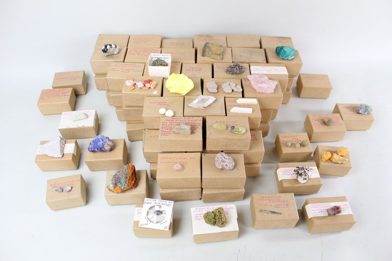 Large Lot of Rock & Mineral Specimens Cataloged Boxes (1 of 15)