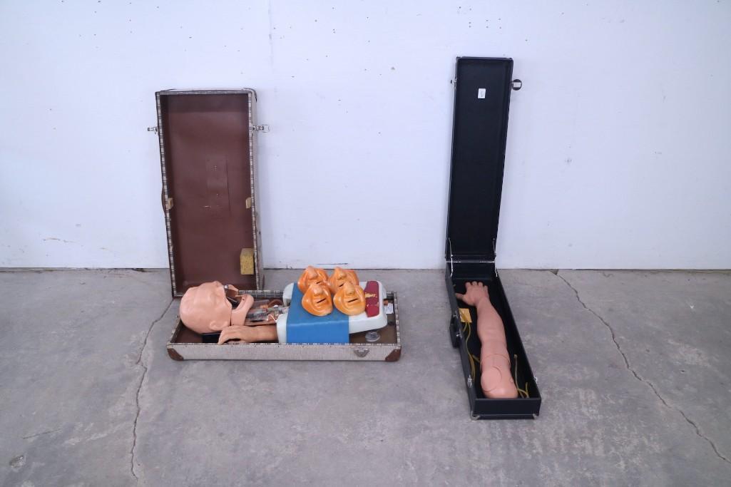 CPR & Pulse Medical Training Models,Arm Head,Anatomical (1 of 8)