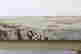item-109598919=7