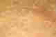 item-112420782=6