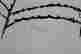 item-112420785=5