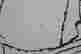 item-112420785=7