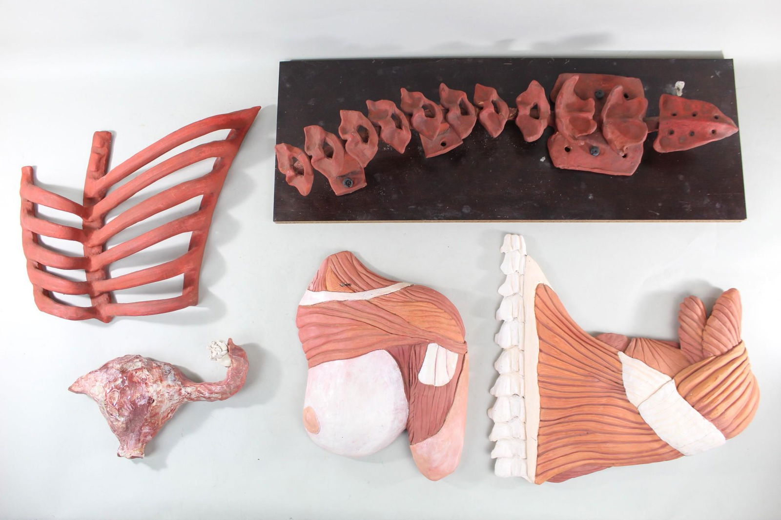 Lot of Terra Cotta Anatomical Art Figural Sculptures (1 of 17)