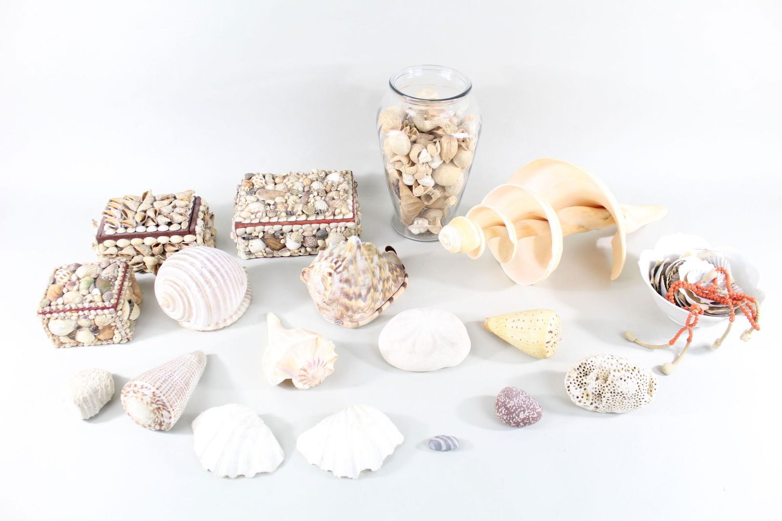 Assorted Seashells w/Shell Boxes, Driftwood & Nuts (1 of 13)