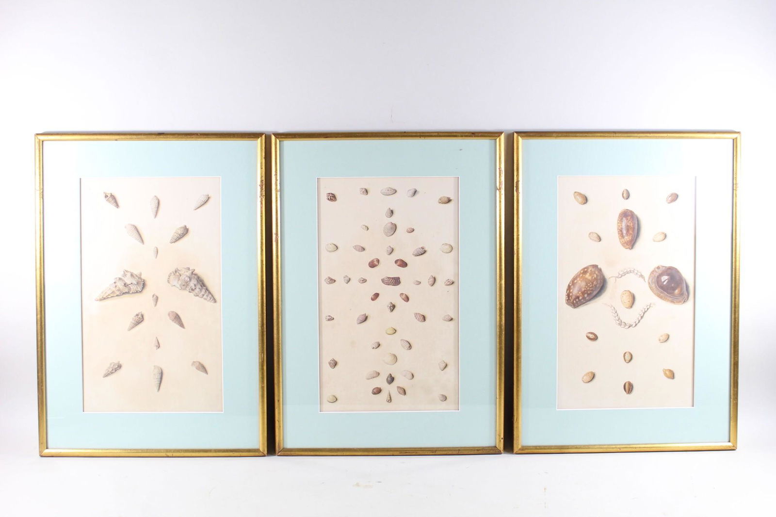 Matching Set of 3 Framed Seashell Watercolor Paintings (1 of 17)