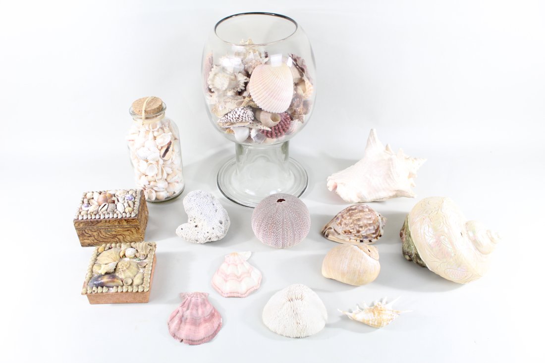 Assorted Seashells,Shell Boxes,Ornately Hand-Carved (1 of 18)