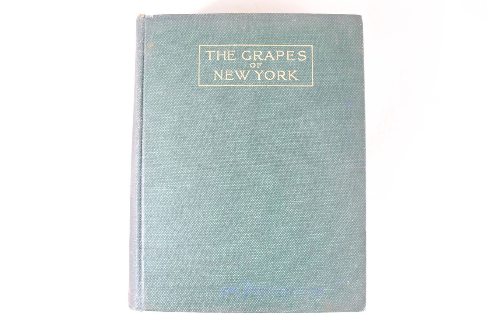 Grapes of New York Illustrated Volume U.P. Hedrick 1909 (1 of 19)
