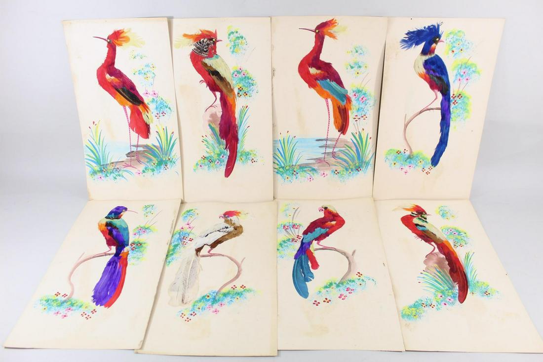25 Vintage Drawings Feather Art Birds, Tropical,Mexican (1 of 20)