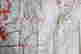 item-116000603=8